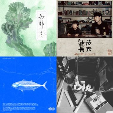 我还年轻