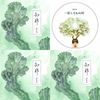 谢春花