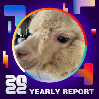 2022 个人年度精选