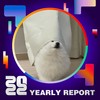 2022 个人年度精选