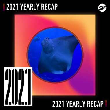 2021 个人年度精选之最