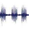 voice