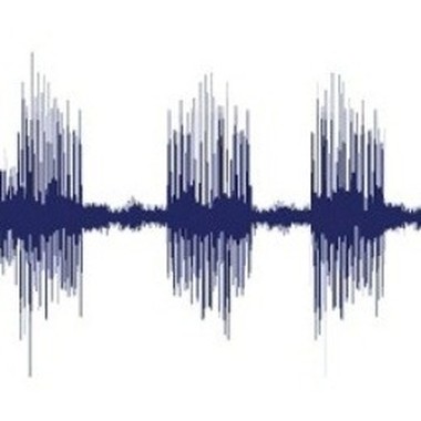 voice