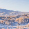 我要去雪地里睡觉