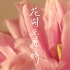 中意