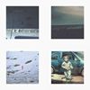 葵刚