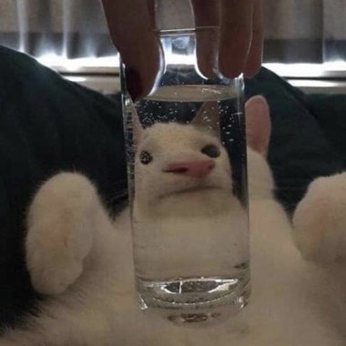?