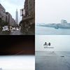 郑兴