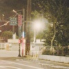 爱情在哪