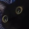 Oooooo