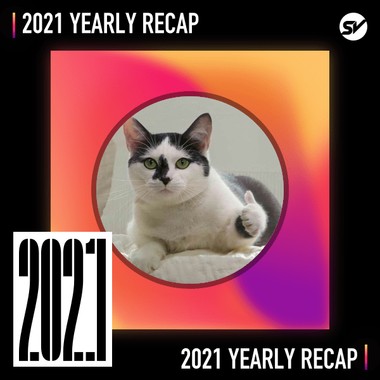 2021 个人年度精选之最