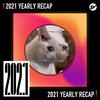 2021 个人年度精选之最