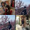 红光