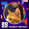 2022 个人年度精选