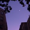 恐怖的房子