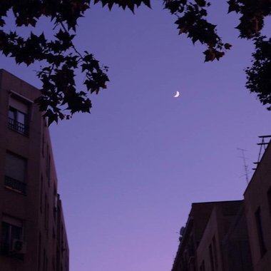 恐怖的房子