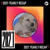 2021 个人年度精选之最