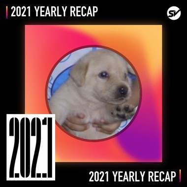 2021 个人年度精选之最