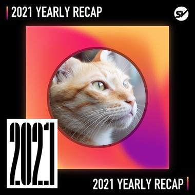 2021 个人年度精选之最