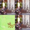 柴郡猫 