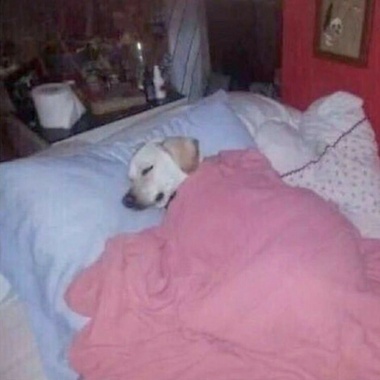 忧郁死了