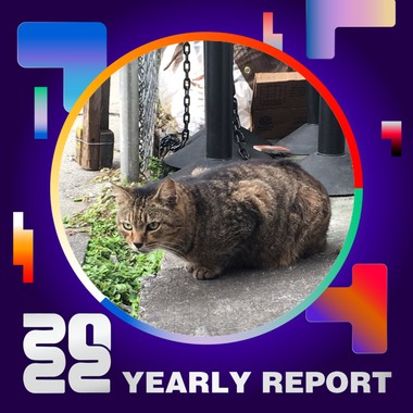 2022 个人年度精选