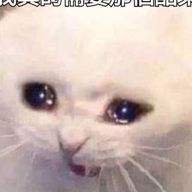 郑兴