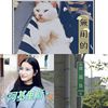好听就好