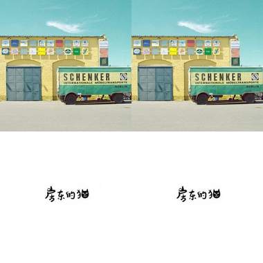 房东的猫