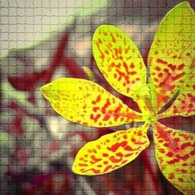 I like