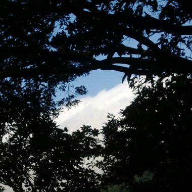 积雨云