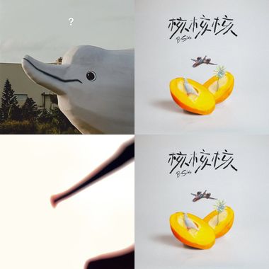 听团仔一生要强