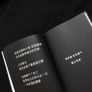 视线所及
