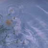 Petrichor 初雨的气息。
