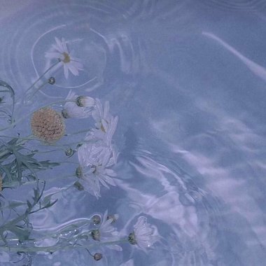 Petrichor 初雨的气息。