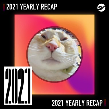 2021 个人年度精选之最