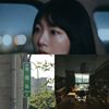 Miso精选