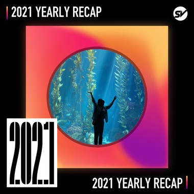 2021 个人年度精选之最