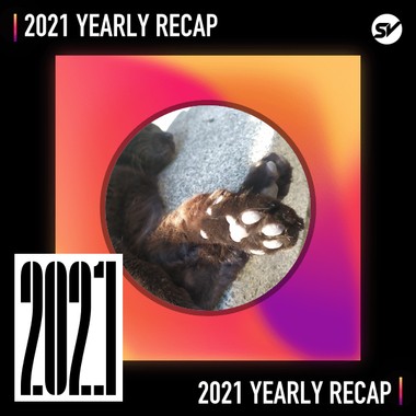2021 个人年度精选之最