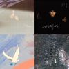 轻听