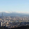 屌