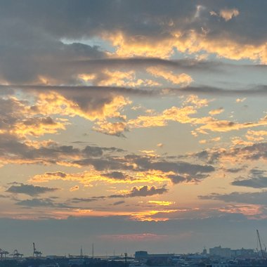 陈闲静