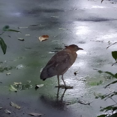 附中高三读书ㄍ单