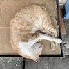 蕾蕾歌(●´⌓`●)