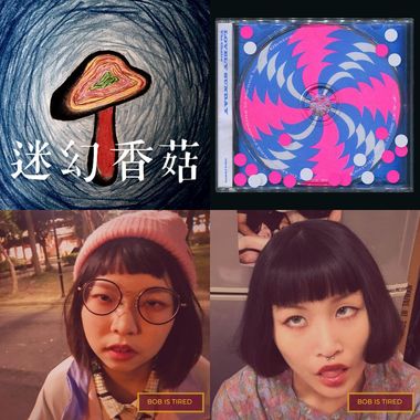 欸不要玩饲料