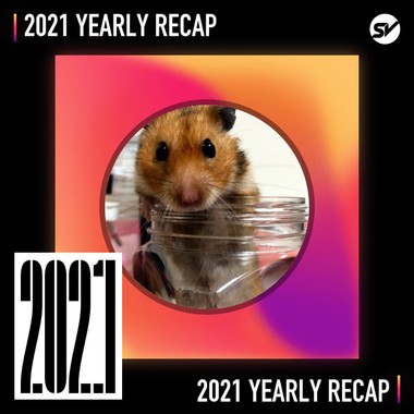 2021 个人年度精选之最