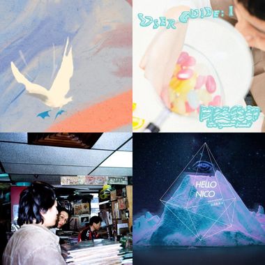 的话大花咸丰草