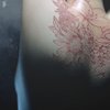 N.