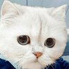 听一下