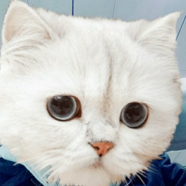 听一下